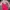 09WOMEN Minimalist Casual Wanita Pink