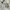 Minimalist Casual Shirt Wanita multicolor white photo 5