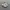 NIKE INITIATOR Red Sephia photo 2