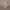 Minimalist Muslim Scarf Wanita tan brown photo 2