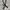 Canvas Nort Cape