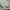 Uniqlo Jacket 3D Pocket photo 9
