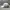 Topi New Era 9FORTY New York City “NYC” Logo Unstructured Ca photo 5