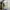 2000s Hollister Olive Green Wide Neck Longsleeve (S) photo 2