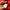 2000s CONART Red Spell-out Poly Hoodie (L) photo 7