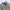 SAF ECWCS Digital Camouflage Pixelised Raincoat Jacket Origi photo 3