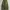 GU Super Wide Cargo Pants