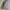 Nike Streetwear Y2K Sweatshirt Pria gray photo 2