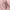 VANS Y2K Sneakers Wanita pink photo 2