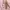 VANS Y2K Sneakers Wanita Pink