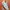 SUPER LUXURY THOM BROWNE NEW YORK TECH RUNNER photo 5