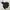 Winter jacket anak goose down hitam new balance cakep photo 7