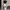 Shorpants Converse Basketbal photo 2