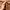 Coach cristi carryall leather pink nude photo 4