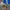 Adidas Glasgow 1/2025 photo 2