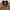 Carhartt Avant Garde Casual Harrington jacket Pria tan photo 2
