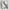 Ggdb francy, golden goose, common projects ysl  photo 3