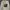 Uniqlo Streetwear Casual Fleece Pria White Cream