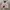 Carhartt Avant Garde Casual Harrington jacket Pria gray photo 1
