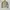 Carhartt Cosplay Casual Harrington jacket Pria gray photo 2