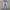 Bootcut Jeans  Lee  Fading Y2k Woman