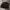 Dickies Cosplay Casual Harrington jacket Pria brown photo 3