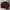Dickies Cosplay Casual Harrington Jacket Pria Brown