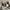 adidas US 5 three stripes sepatu photo 2