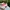 Adidas Casual Casual shoe Pria white pink photo 3
