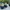 Adidas Casual Casual shoe Pria green cream photo 3