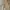 Celana Cargo Pants Wanita Beige / Khaki Highwaist Loose Leg 