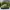 Adidas Casual Casual shoe Pria green photo 1