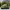 Adidas Casual Casual Shoe Pria Green