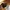 Uniqlo utility 2 way bag small photo 2