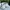Adidas Casual Casual shoe Pria white blue photo 3
