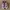 Vans decon photo 2