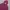 LuluLemon Zip Up Hoodie Ungu
Terang photo 2