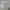 Xiaomi Headphone Neo Black