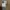 Carhartt Casual Harrington jacket Pria tan photo 4