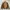 Carhartt Casual Harrington jacket Pria tan photo 3