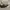 Balenciaga Casual Hat Pria white photo 4