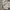 Balenciaga Casual Hat Pria white photo 8