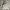 Balenciaga Casual Hat Pria white photo 6
