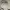 Balenciaga Casual Hat Pria white photo 5