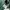 United Colors Of Benetton quilted jacket kids green jaket ou photo 5