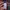 Lauren by Ralph Lauren Plaid Shirt photo 6