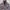 Oversized Halfzip Printed Lettering Jacket photo 4