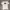 Tshirt Kappa Big Logo