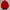 Castelbajac Vintage Harrington Jacket Pria Red