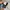 Vintage Vans Jorts Pants photo 9